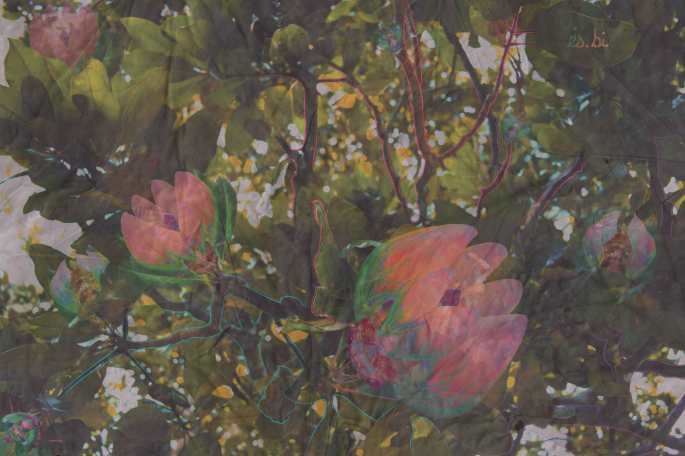 bloomingcicadashlowres